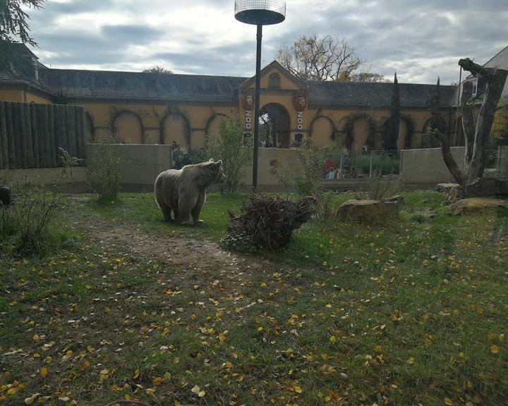 Fody's Zoo Heidelberg