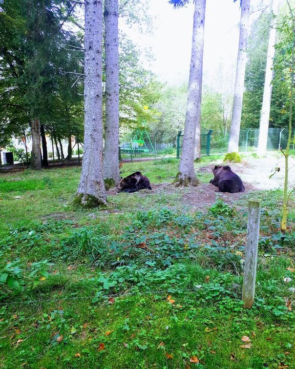 Wild- Und Freizeitpark