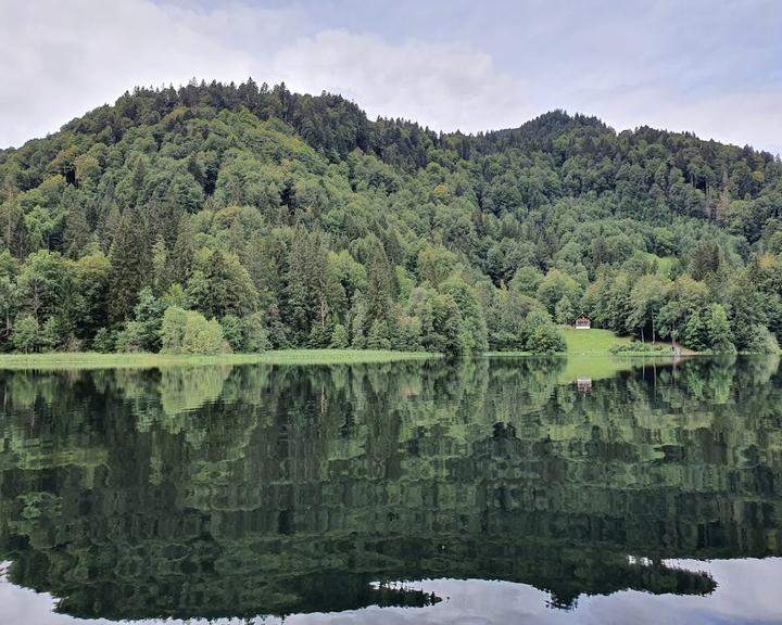 Naturbad Freibergsee